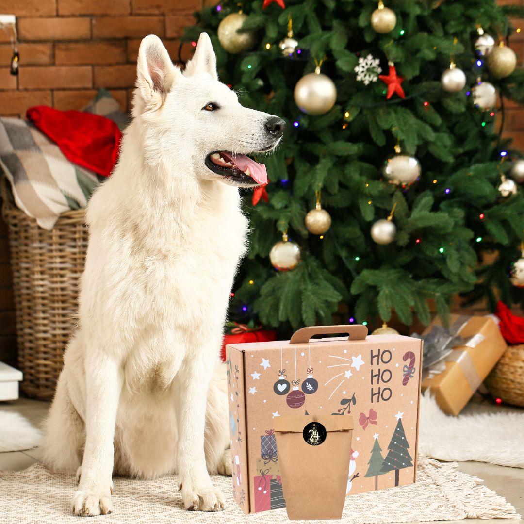 Calendrier de l'Avent pour Chien 2025 - Friandises Naturelles Calendrier de l'Avent pour Chien 2025 - Friandises Naturelles