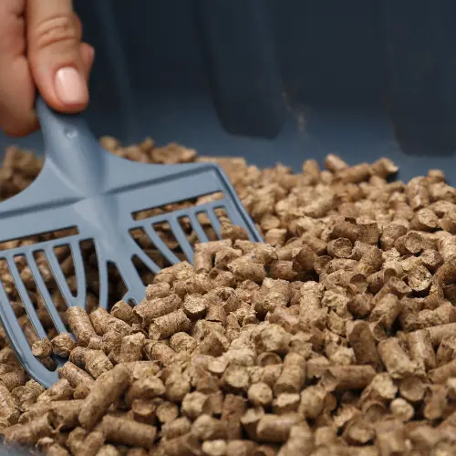 Litière Végétale - Pellets - Chat Fungfeed Litière Végétale - Pellets - Chat Fungfeed