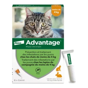 Advantage Chat