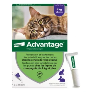 Advantage Chat