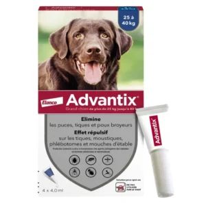 ADVANTIX Chien
