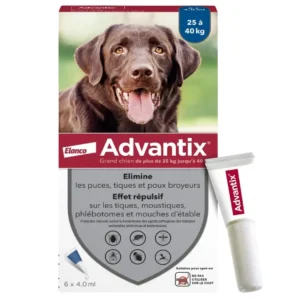 ADVANTIX Chien