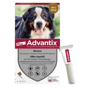 ADVANTIX Chien