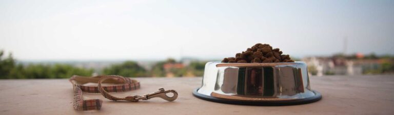 avis croquettes chien royal canin