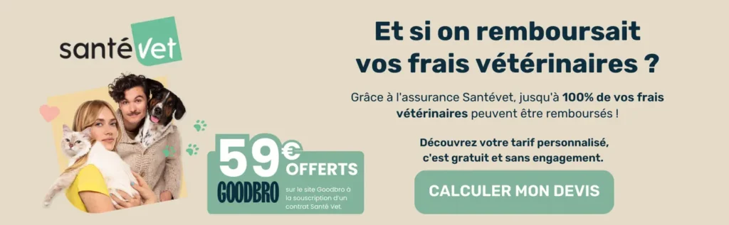 Goodbro x SantéVet