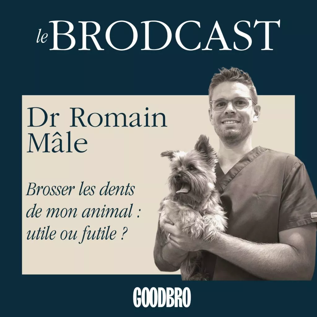 Dr vétérinaire Romain Mâle