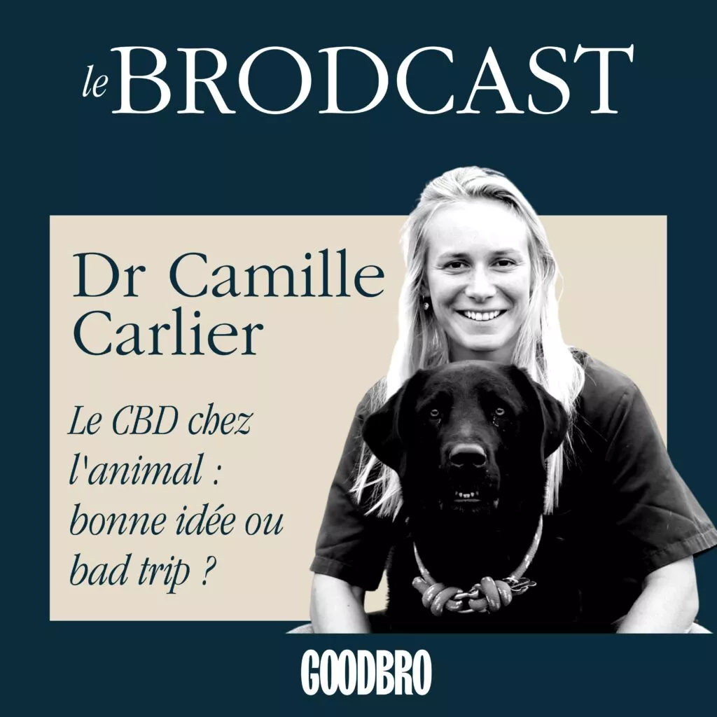 Dr Camille Carlier