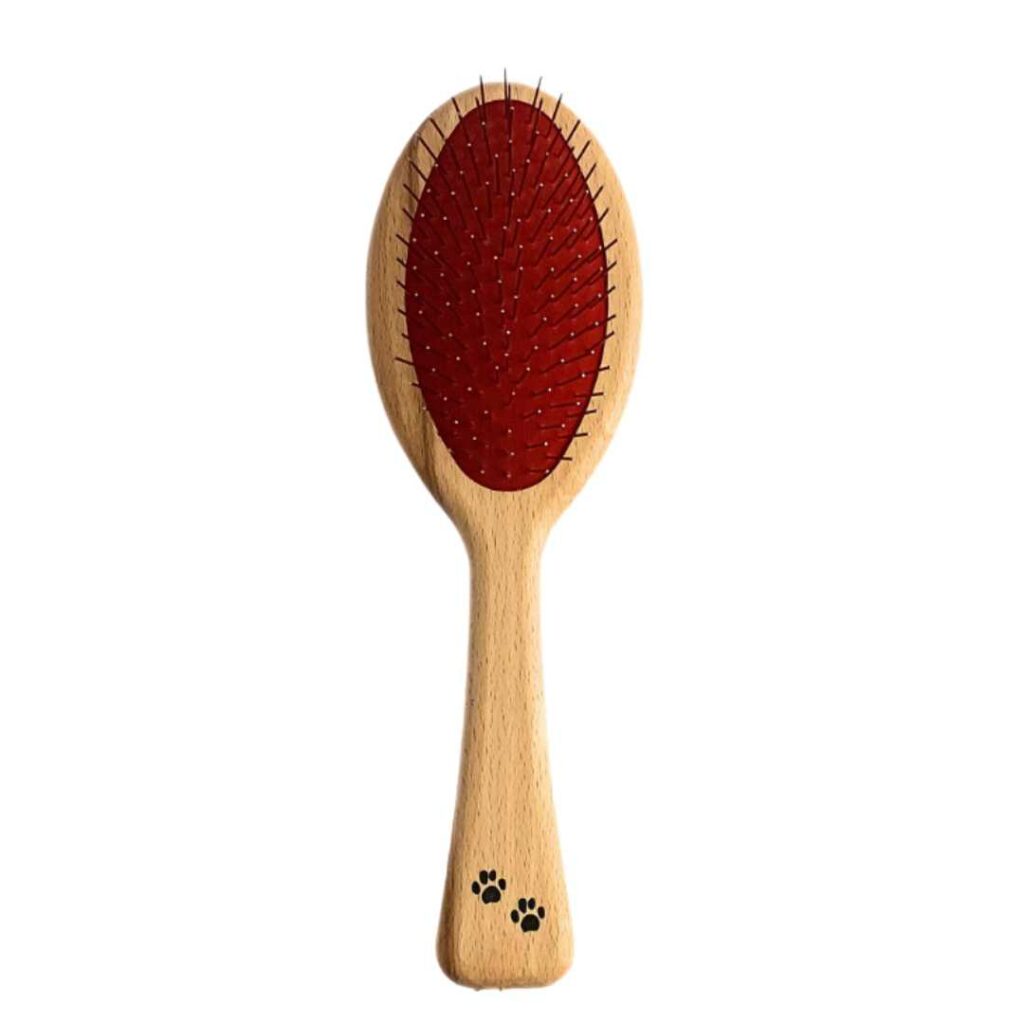 Brosse 2 en 1 Goodbro x La Brosserie Française