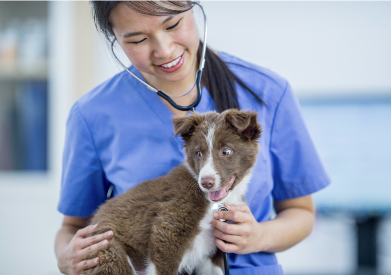 Capture decran 2025 09 19 a 14.36.18