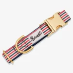 Collier pour chiens French Banban French Bandit