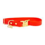 Pop Dog Collier Chien Orange Fluo Foufou