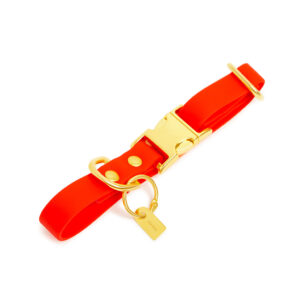 Pop Dog Collier Chien Orange Fluo Foufou