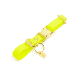 Pop Dog Collier Chien Jaune Joyeux