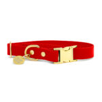 Pop Dog Collier Chien Rouge Diablotin