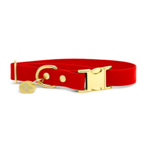 Pop Dog Collier Chien Rouge Diablotin