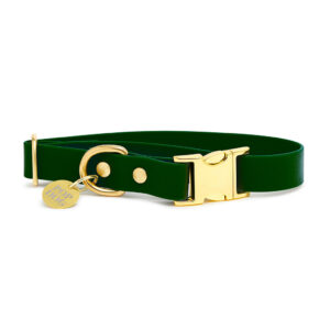 Pop Dog Collier Chien Vert Elégant