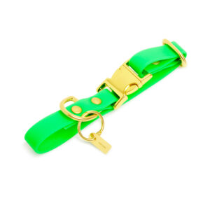 Pop Dog Collier Chien Vert Elégant