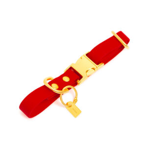 Pop Dog Collier Chien Rouge Diablotin