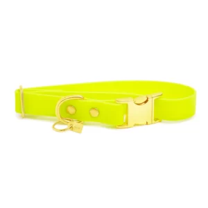 Pop Dog Collier Chien Jaune Joyeux