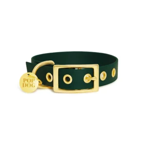 Pop Dog Collier œillets Chien Vert Elégant