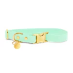 Pop Dog Collier Chien Bleu marine Patapouf