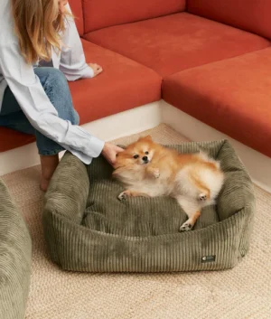 Panier pour chien en velour côtelé vert - Snozy - Cafide