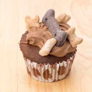 DIY friandises maison pour chien