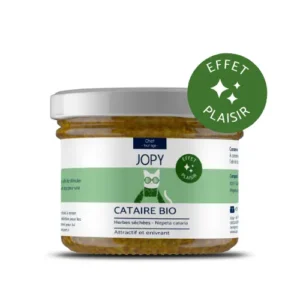 Cataire - Herbes à chat Jopy