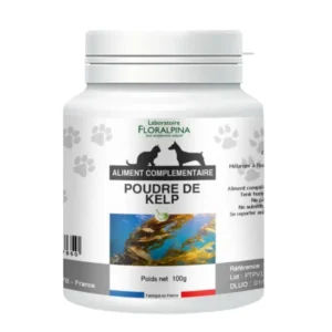 Poudre de Kelp - Immunité - Floralpina