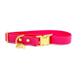 Pop Dog Collier Chien Rose Glouton