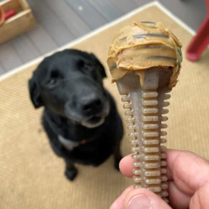 Os à mâcher HoneyBone Dental Tower pour chien - SodaPup