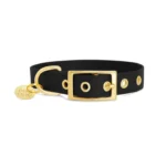 Pop Dog Collier œillets Chien Noir Badass Pop Dog Collier œillets Chien Noir Badass