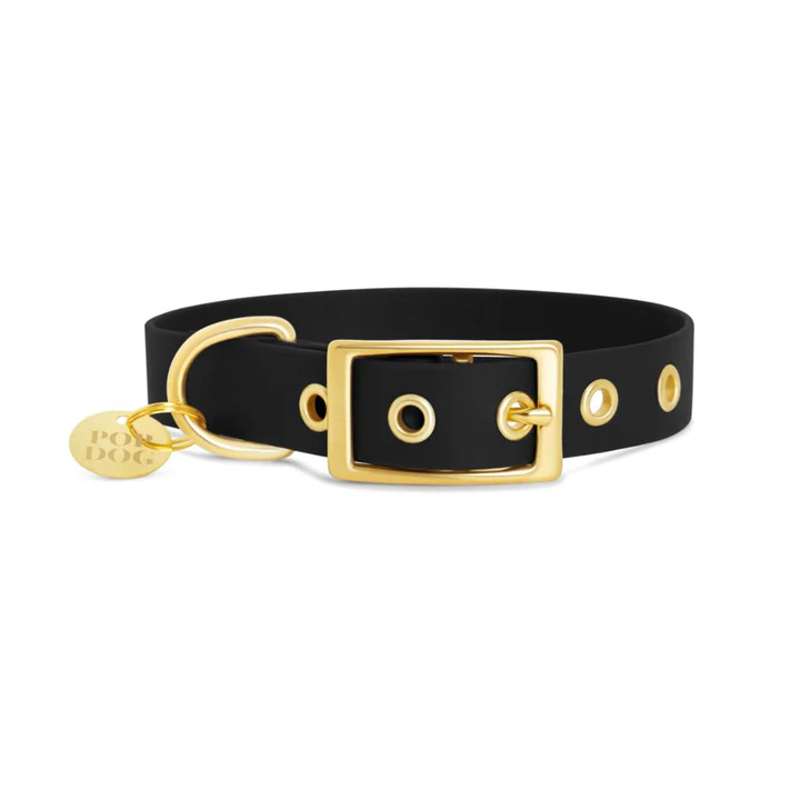 Pop Dog Collier œillets Chien Noir Badass Pop Dog Collier œillets Chien Noir Badass