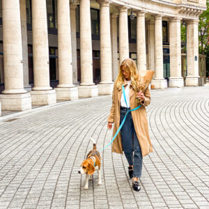 Pop Dog Laisse Bandoulière Chien Bleu Dragueur