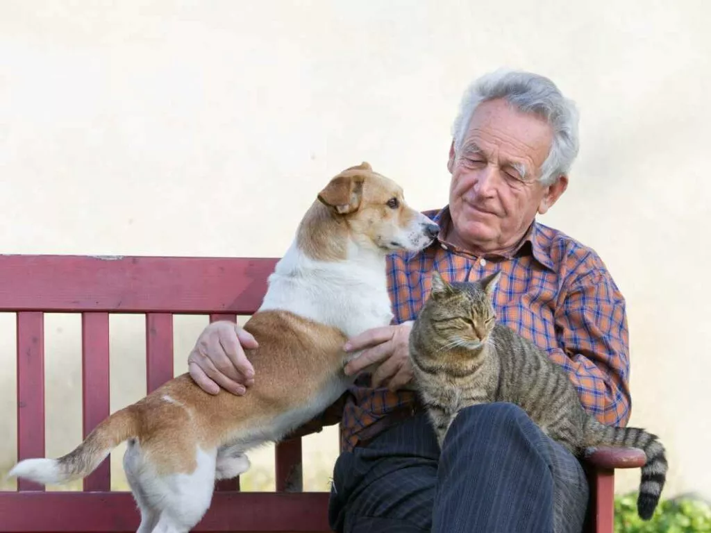 Un senior assis sur un banc avec son chien et son chat