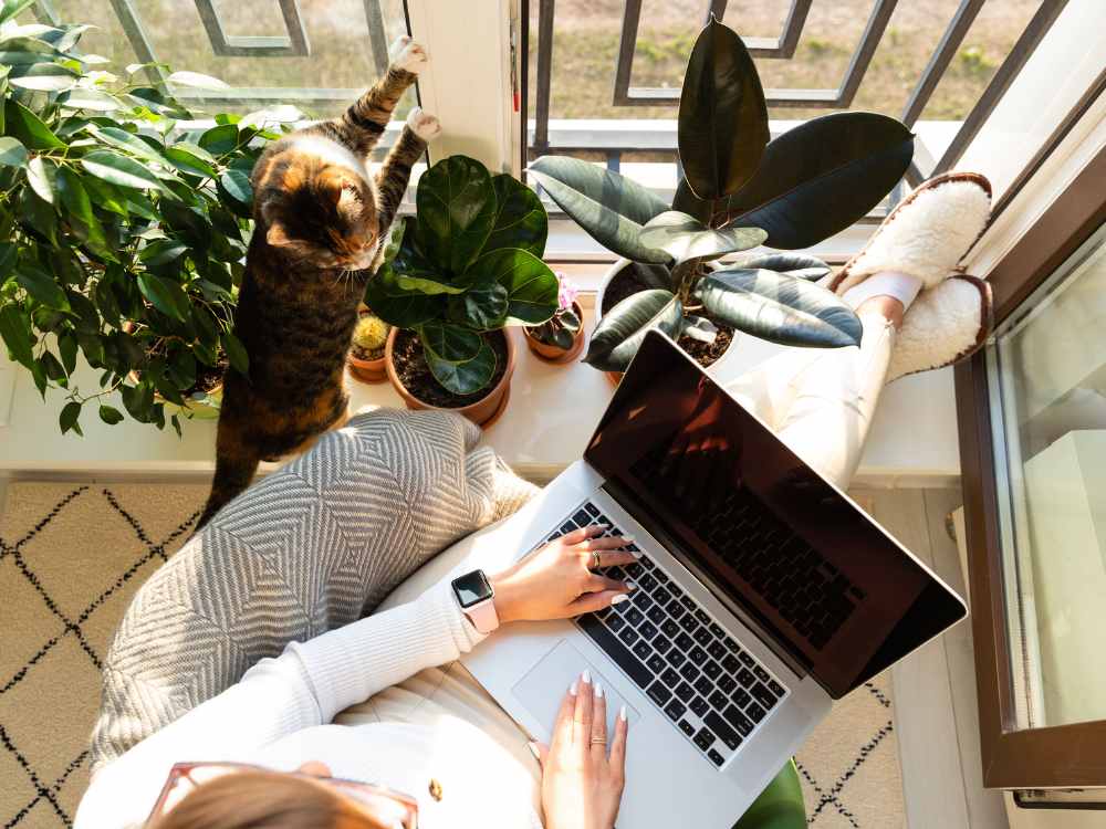 Une femme et son chat devant un ordinateur
