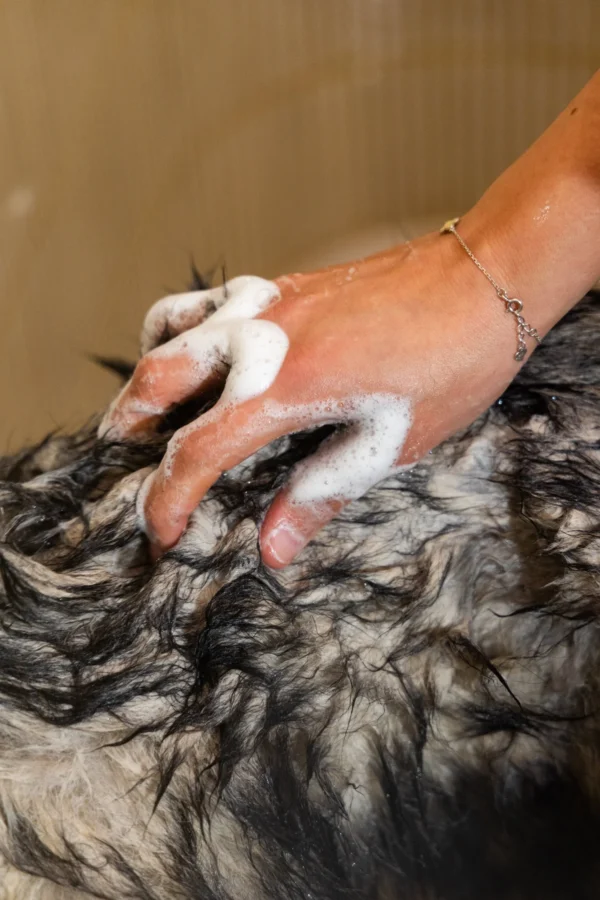 Shampoing Purifiant - Fur Love