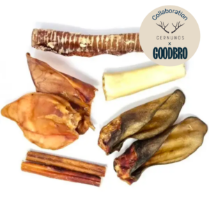 Pack mastication super résistante pour chien - Cernunos