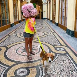 Pop Dog Laisse Bandoulière Chien Jaune Joyeux