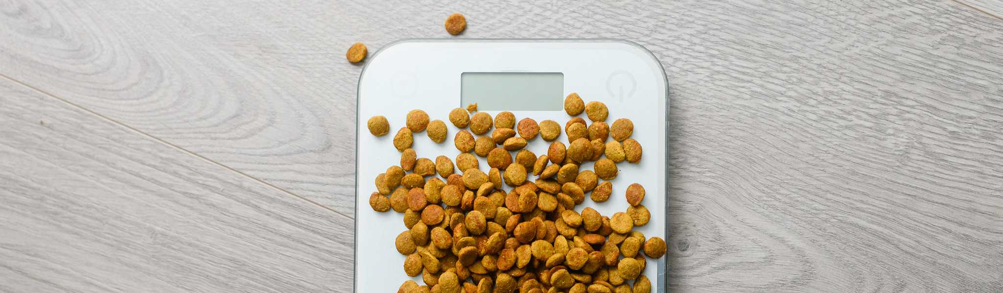 Quelle quantité de nourriture pour un chat heureux et en bonne santé ?