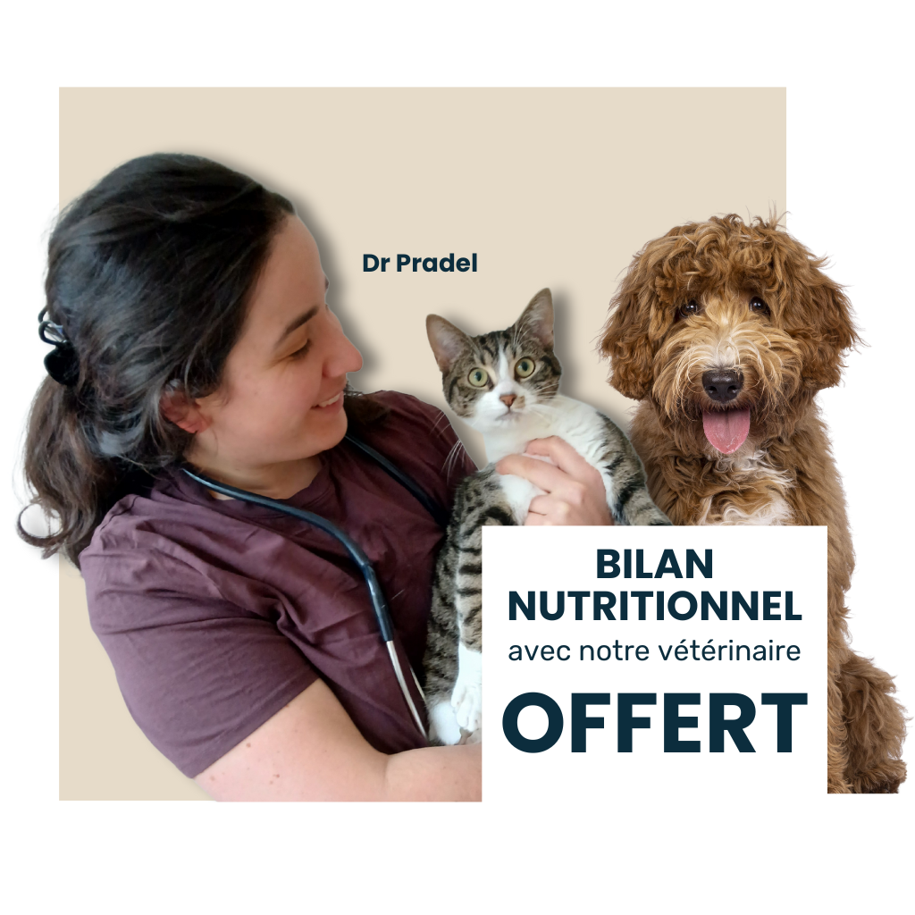 Bannière bilan nutritionnel gratuit pour chien et chat