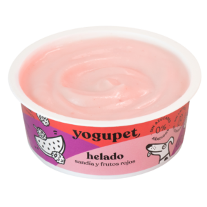 Glace sans lactose pomme poire kiwi - Yogupet