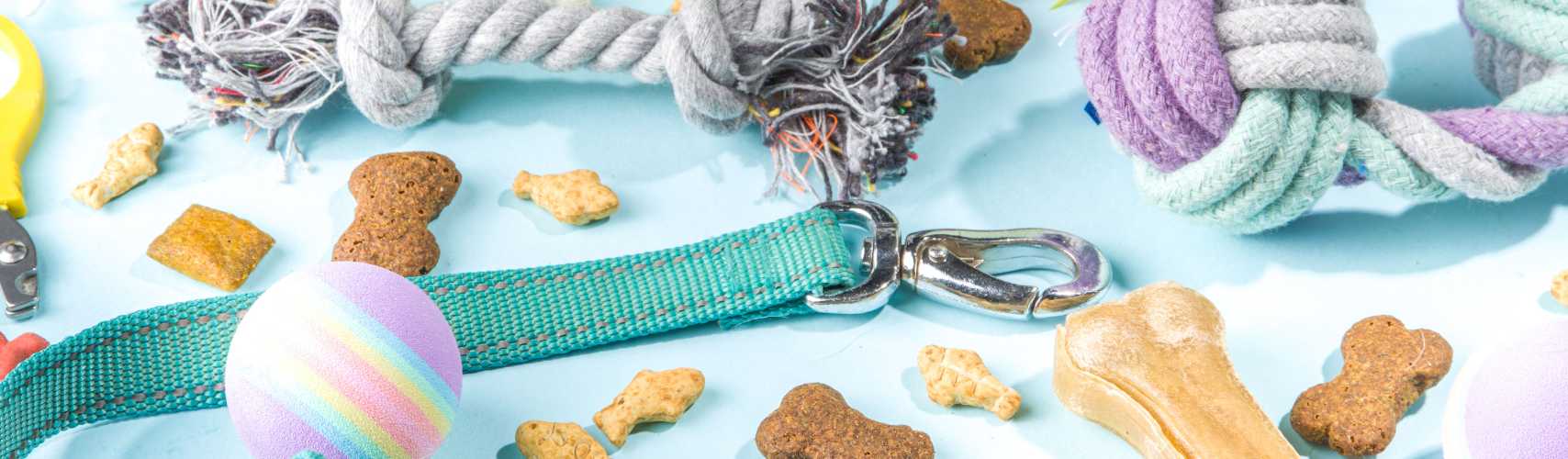 Les 8 accessoires indispensables à acheter lorsque l'on adopte un chiot -  Goodbro