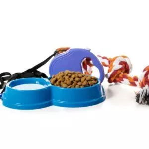 Accessoires pour Chiens : Design, qualité, confort - Goodbro