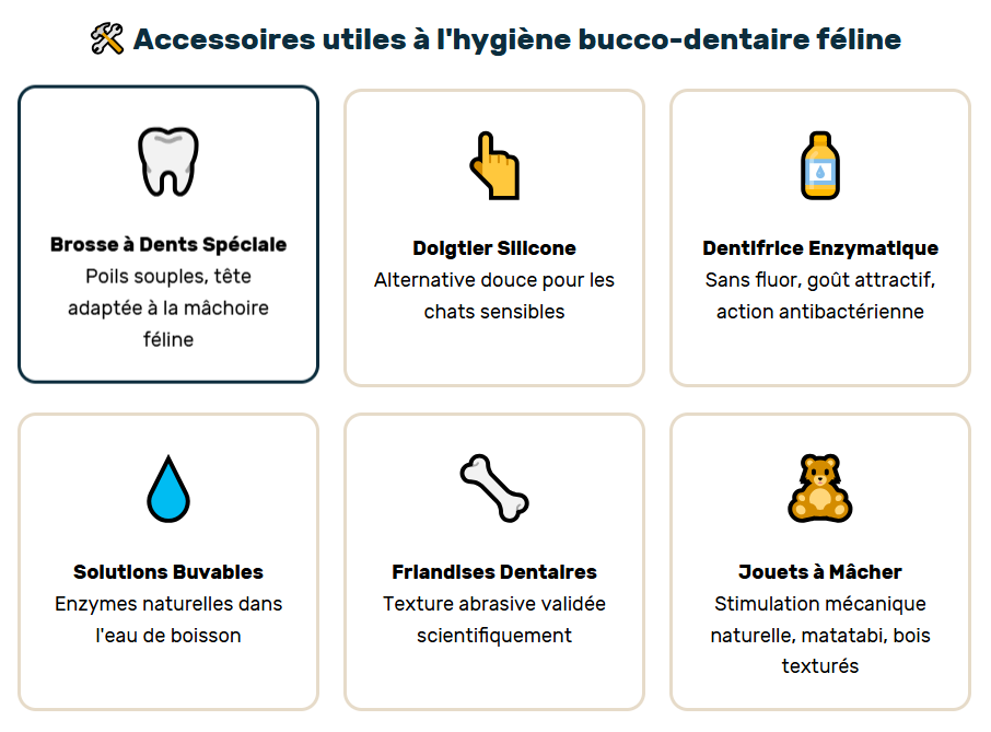 accessoires utiles à l'hygiène bucco-dentaire naturelle féline