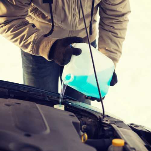 antigel de voiture toxique pour le chien