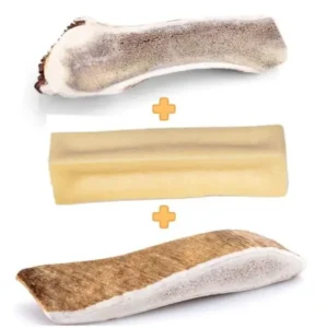 Pack mastication débutant pour chien - Cernunos