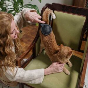 brossage chat : solution naturelle anti boules de poils