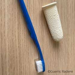 brosse à dents VS doigtier chien