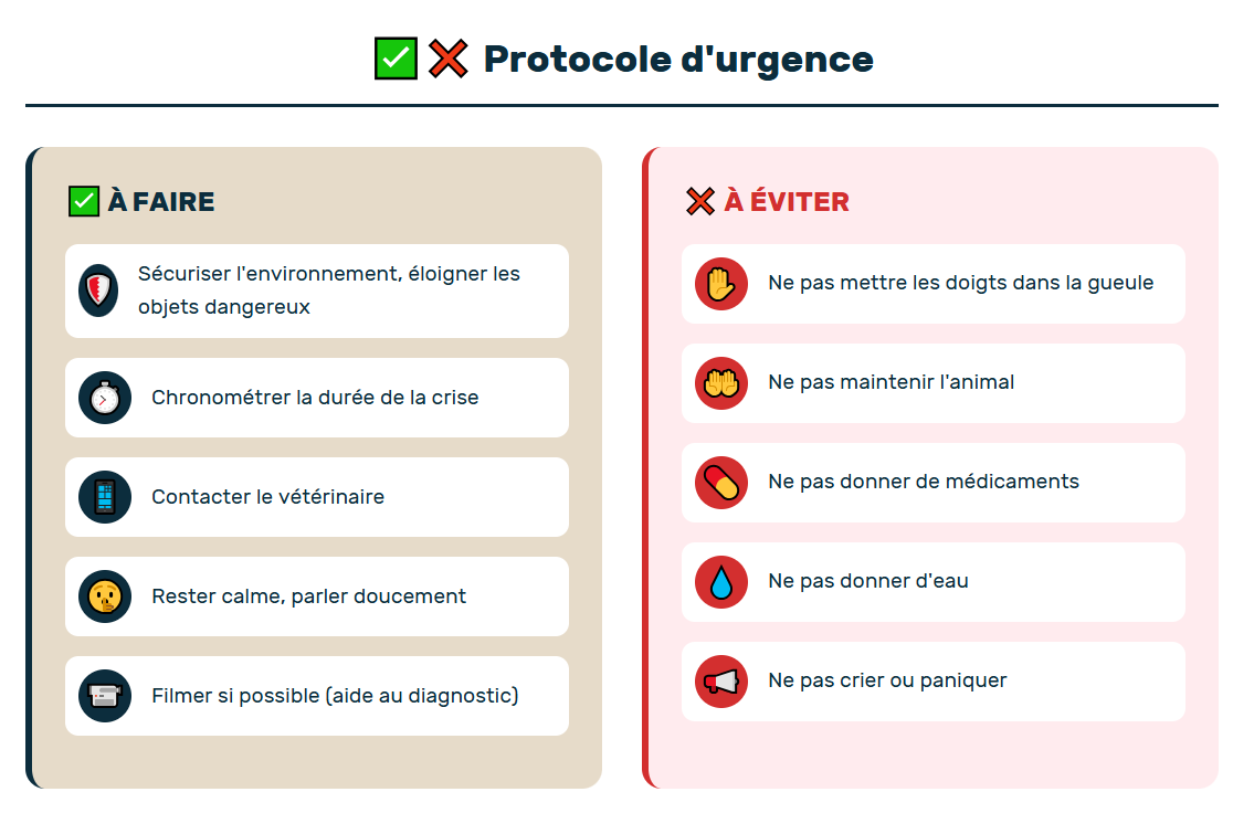 chien qui convulse : protocole d'urgence